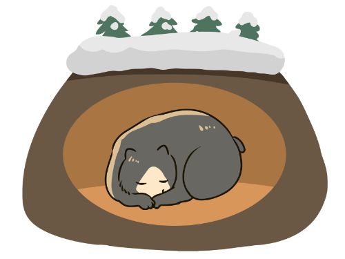 冬眠中